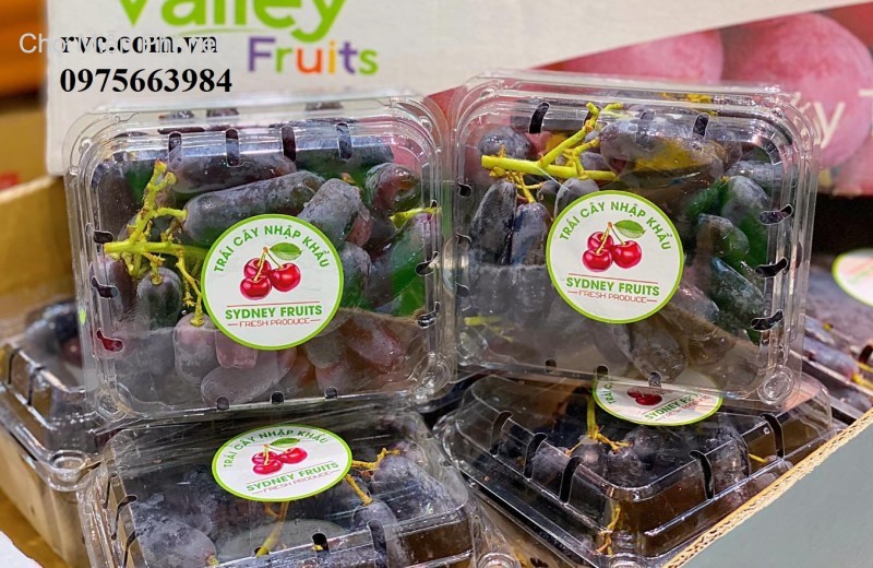 Mẫu hộp nhựa trái cây 500g đáng mua nhất 2024